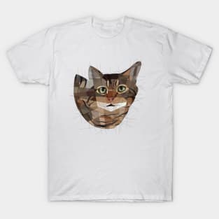 Striped Cat T-Shirt